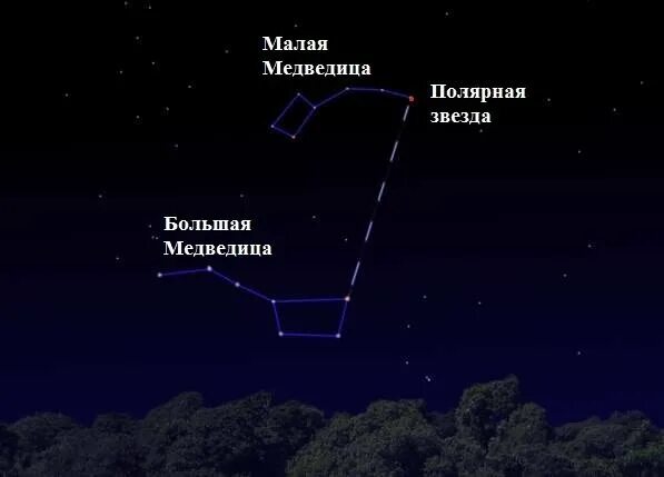 В какой медведице находится полярная звезда. Большая и малая медведица полярная звезда. созвездие малая медведица и полярная звезда. звёзды ковша малой медведицы. созвездие большой и малой медведицы и полярная звезда.