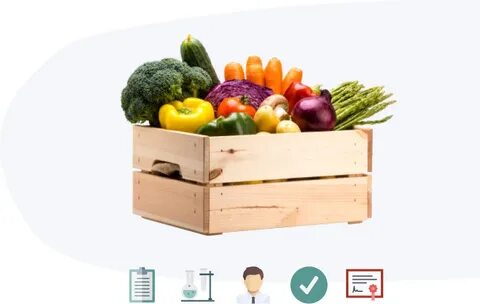 Vegetables in our family