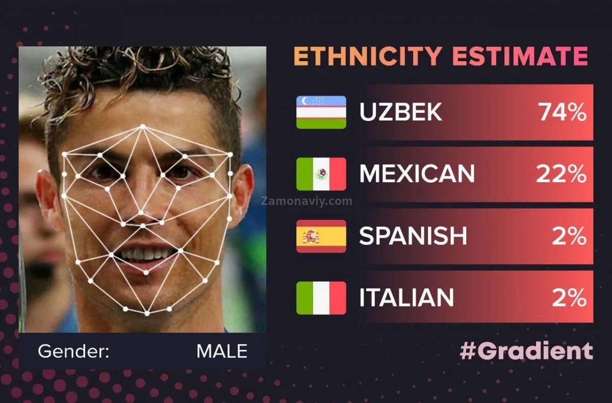 Тест по национальности человека. Приложения считывания лица по национальности. Приложение узнать национальность. Программа для определения национальности. Приложение лицо национальность.