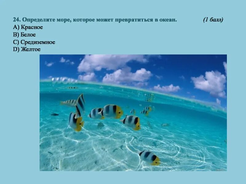 Определите море. Океан и море как отличать. для моря определим океан. как определить море.