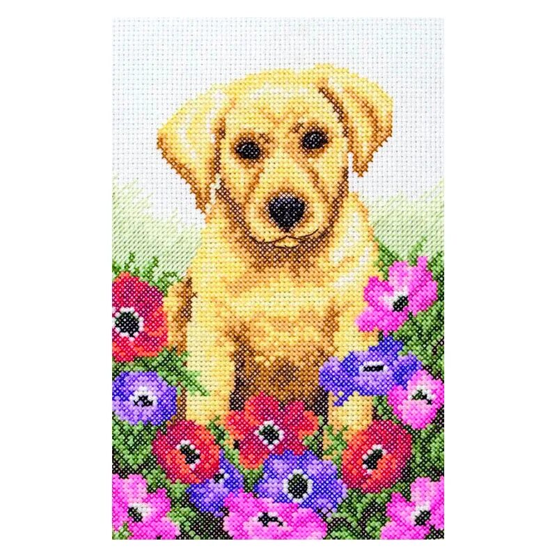 Набор для вышивания pce318. Анкор собаке. Анкор собаке. Анкор собаке. Анкор собаке.