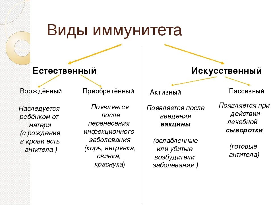 Естественный иммунитет особенности. Таблица иммунитет биология 8 класс. Классификация приобретенного иммунитета. Типы иммунитета таблица. Врожденный и приобретенный иммунитет искусственный и естественный.