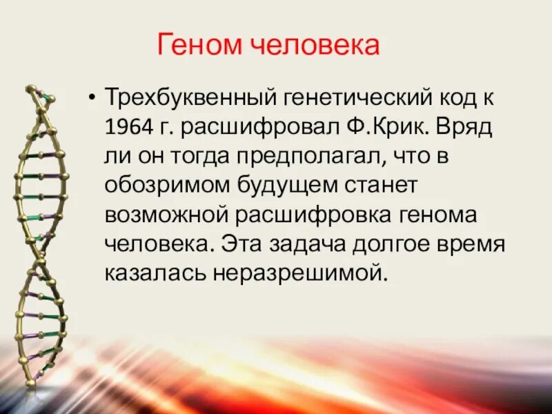 Геном называют. Геном человека. Генетический код человека. Генетический кодон человека. Геном человека расшифрован.