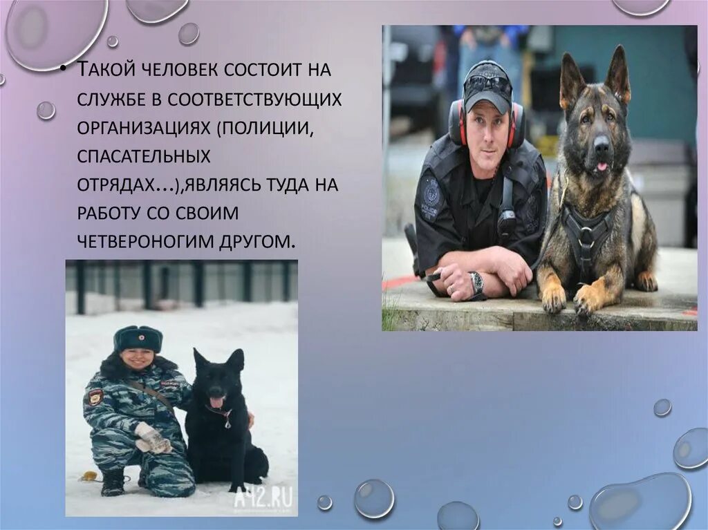Кинолог после какого класса. Кинолог после какого класса
