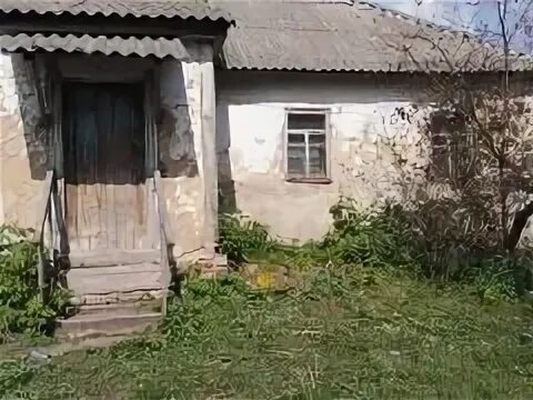 Погода в едвннском районе с в реутец