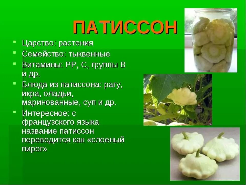 Патиссон семейство. Сообщение про патиссоны. Патиссон презентация. Овощные культуры семейства тыквенных. Овощи какое семейство