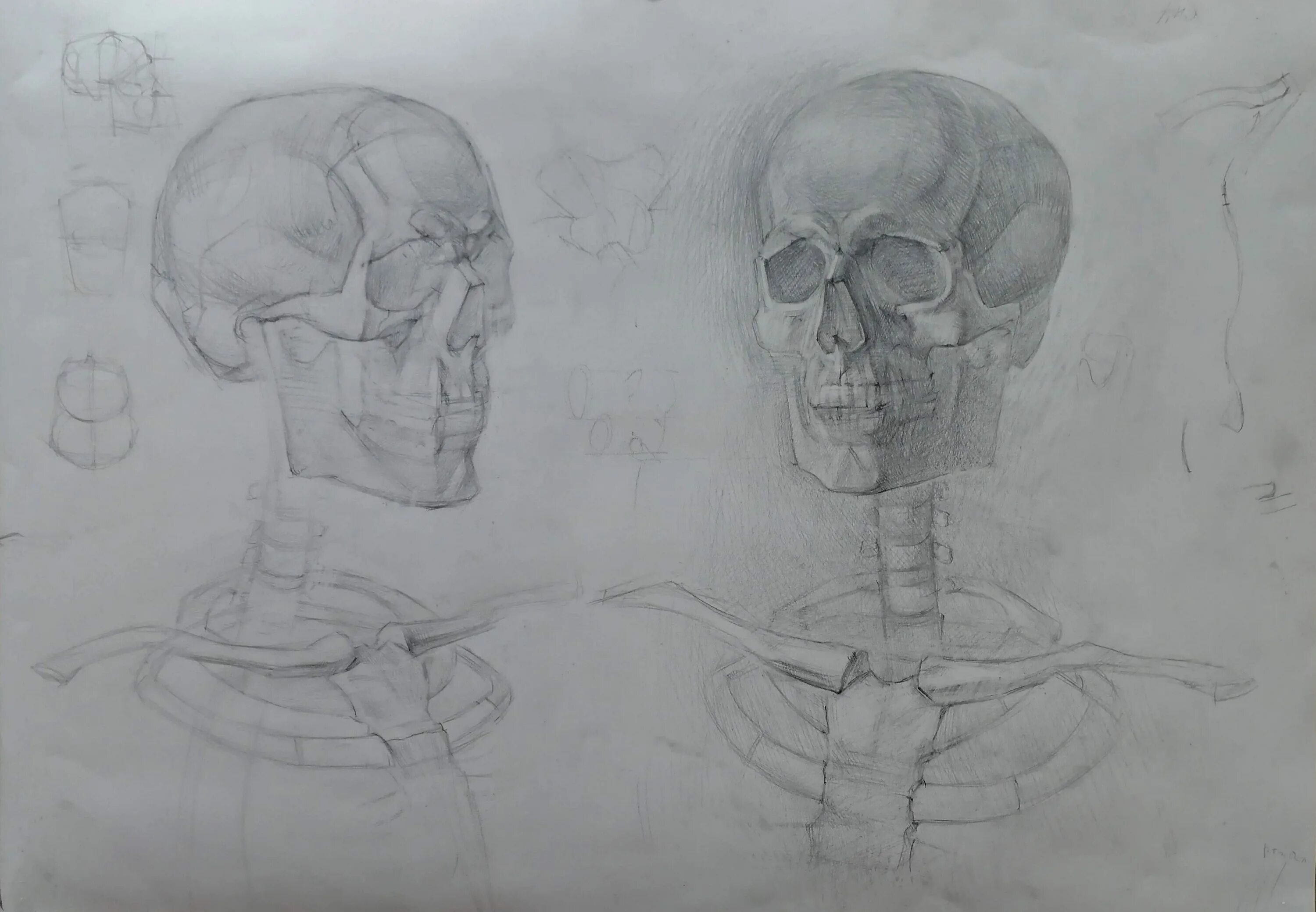 Рыжкин голова. Рыжкин череп человека. Рыжкин анатомия головы. Анатомия черепа Рыжкин.