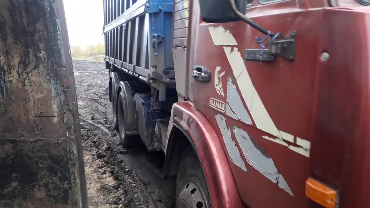 Разгрузка машин с зерном. Камаз самосвал вываливает песок. Камаз загруженный зерном упрямо крутит колесо. Камаз с зерном на разгрузки зерна. Волонтёрский полк марго.