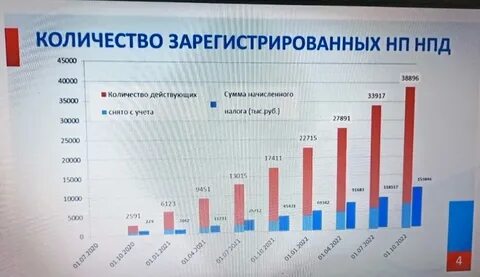 Расчеты с самозанятыми в 2024 году