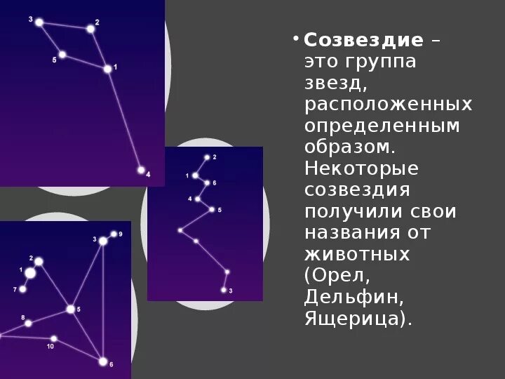 Песня созвездие отрезок текст. Созвездие Дельфин. Созвездие Дельфин схема. Созвездие Дельфин самая яркая звезда. Сообщение о созвездии дельфина.