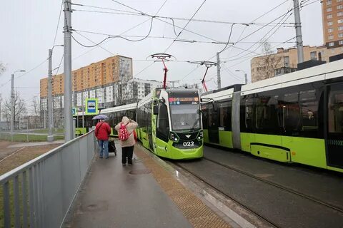 Чижик новинки 2024