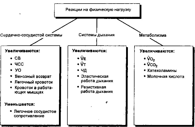 Ступенчатый тип реакции на физическую нагрузку. Ступенчатый тип реакции на физическую нагрузку