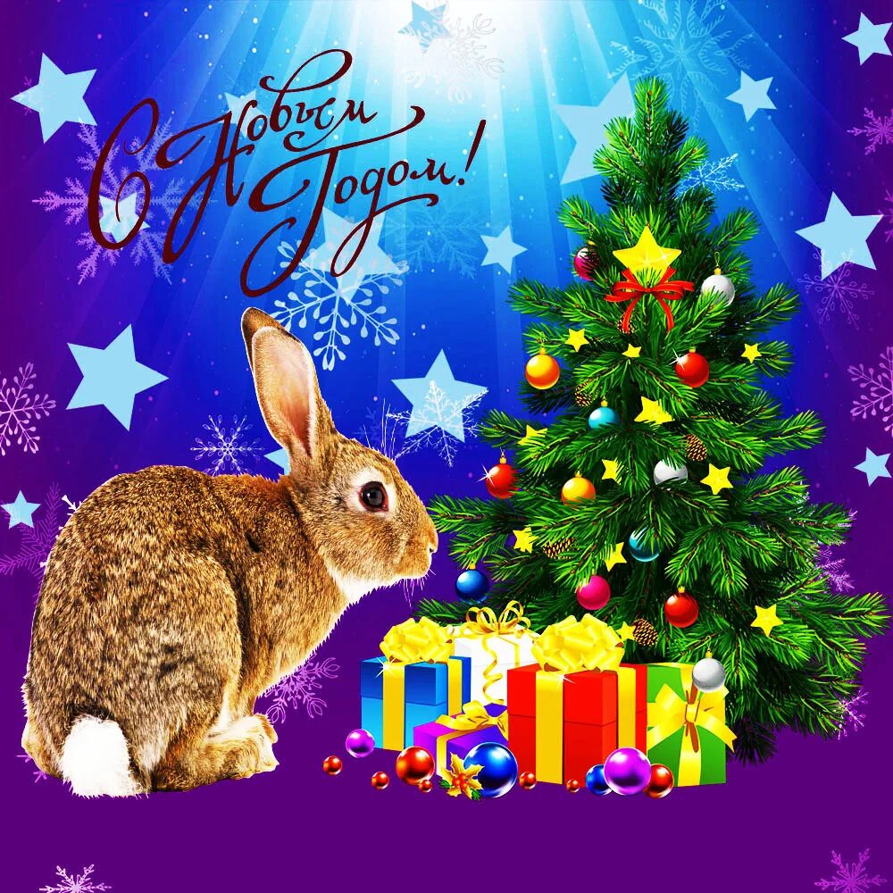 Кролик новый год. Новогодний кролик картинки. С наступающим новым годом кролика. С наступающим новым годом кролика 2023.