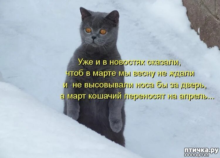 Ну и денек теперь ване предстоит