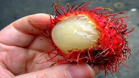 Strange fruit