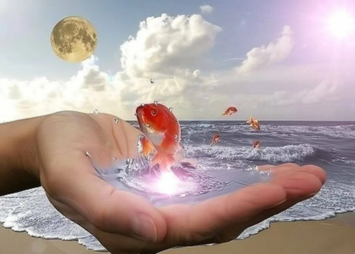 Вот так живешь мечтаешь. Золотая рыбка в руках. Золотая рыбка исполнение желаний. Добро у моря. Золотая рыбка исполняет желания.
