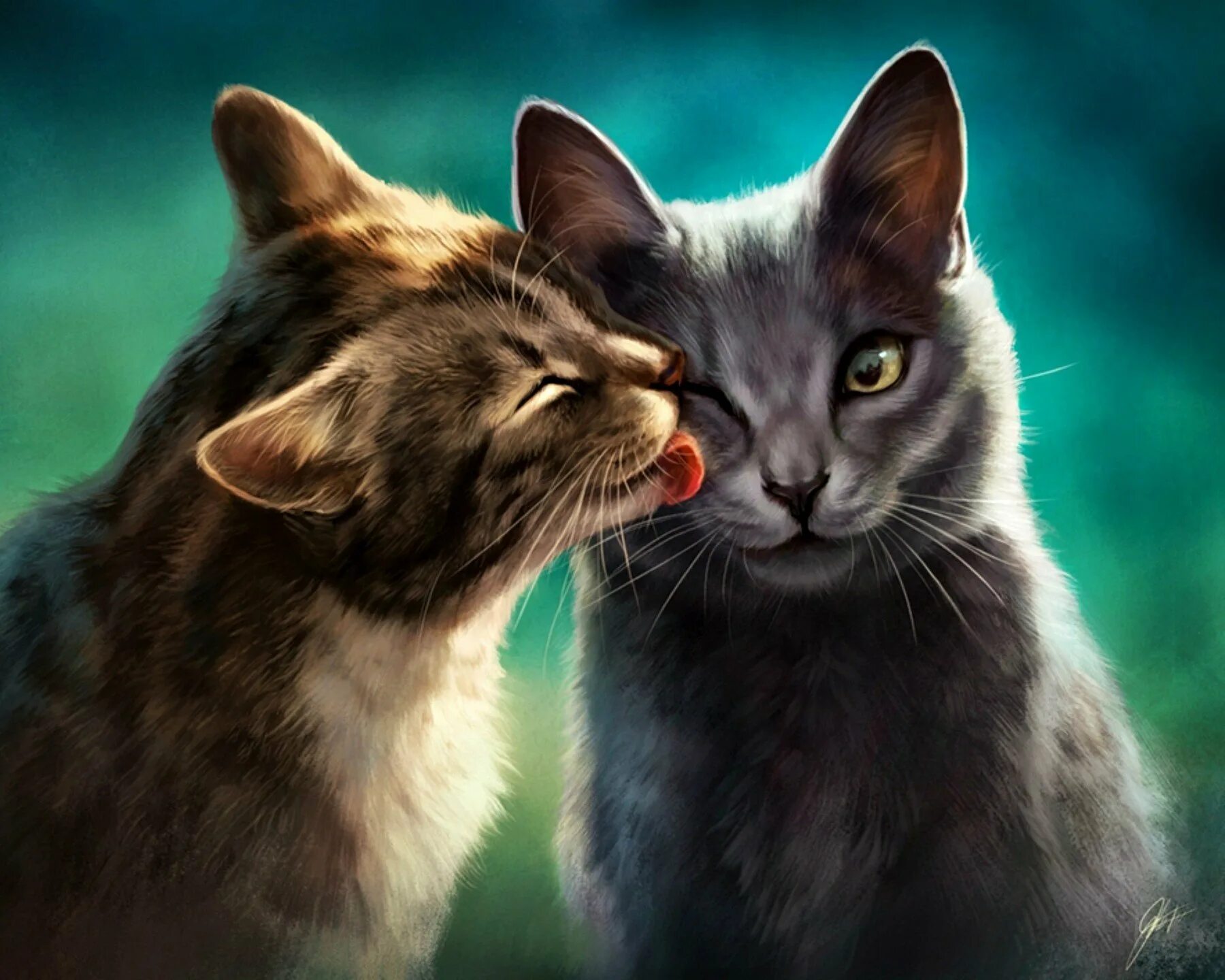 Котики арт. Кот арт. коты арты. влюбленные кошки. кот и кошка арт.