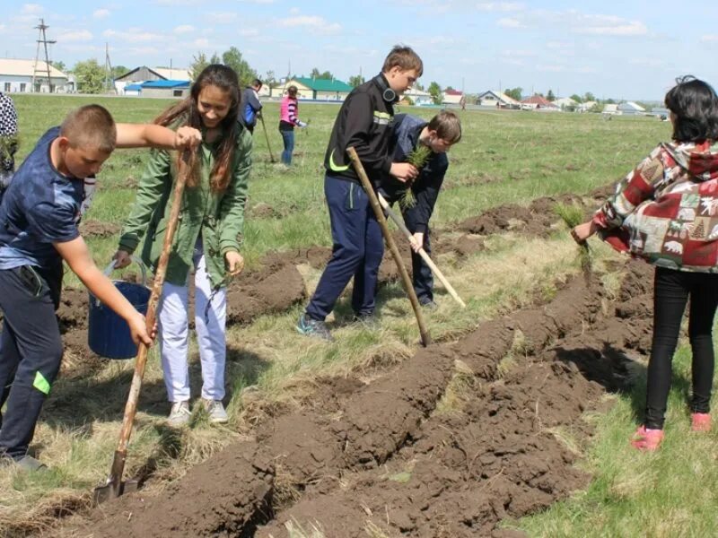 Погода в акимовка краснощековский район. Агроэколог. Агростарт мероприятие. Краснощеково мероприятия. Всероссийский слет Агростарт 2023.