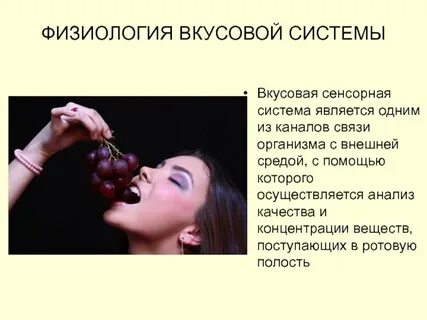 Восприятие вкуса