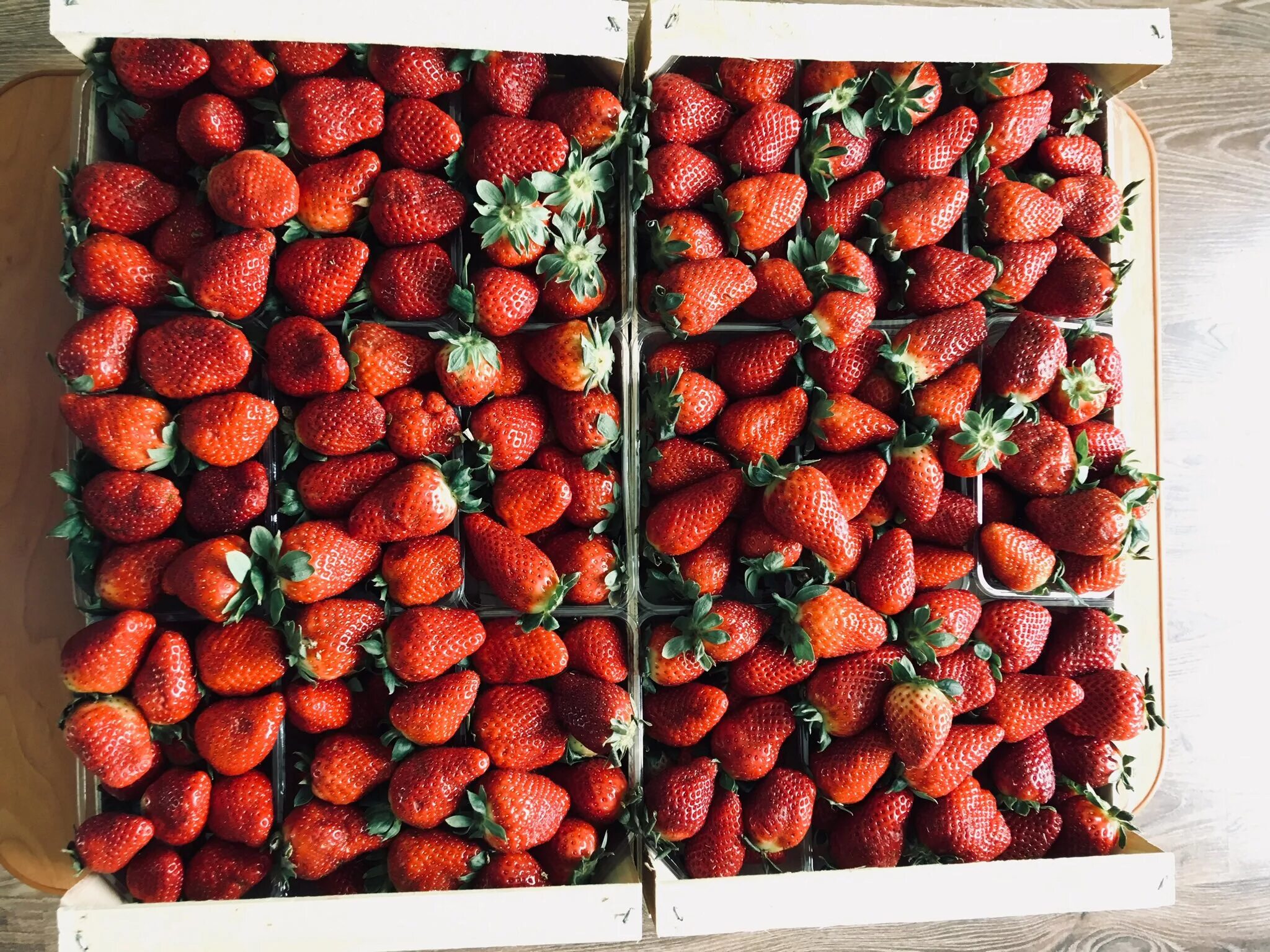 2 кг земляники. 2 кг земляники. "для клубники", 1 кг. Ящик клубники. 2 кг земляники.