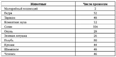 Сколько хромосом в листе огурца