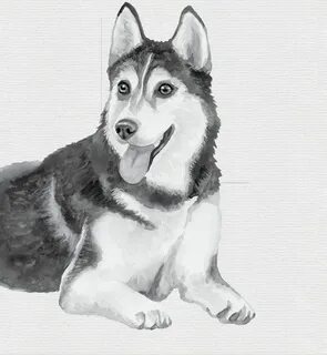 Как нарисовать хаску