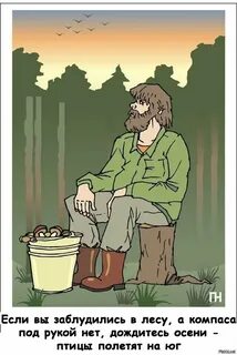 Поздравления грибнику прикольные - 67 фото