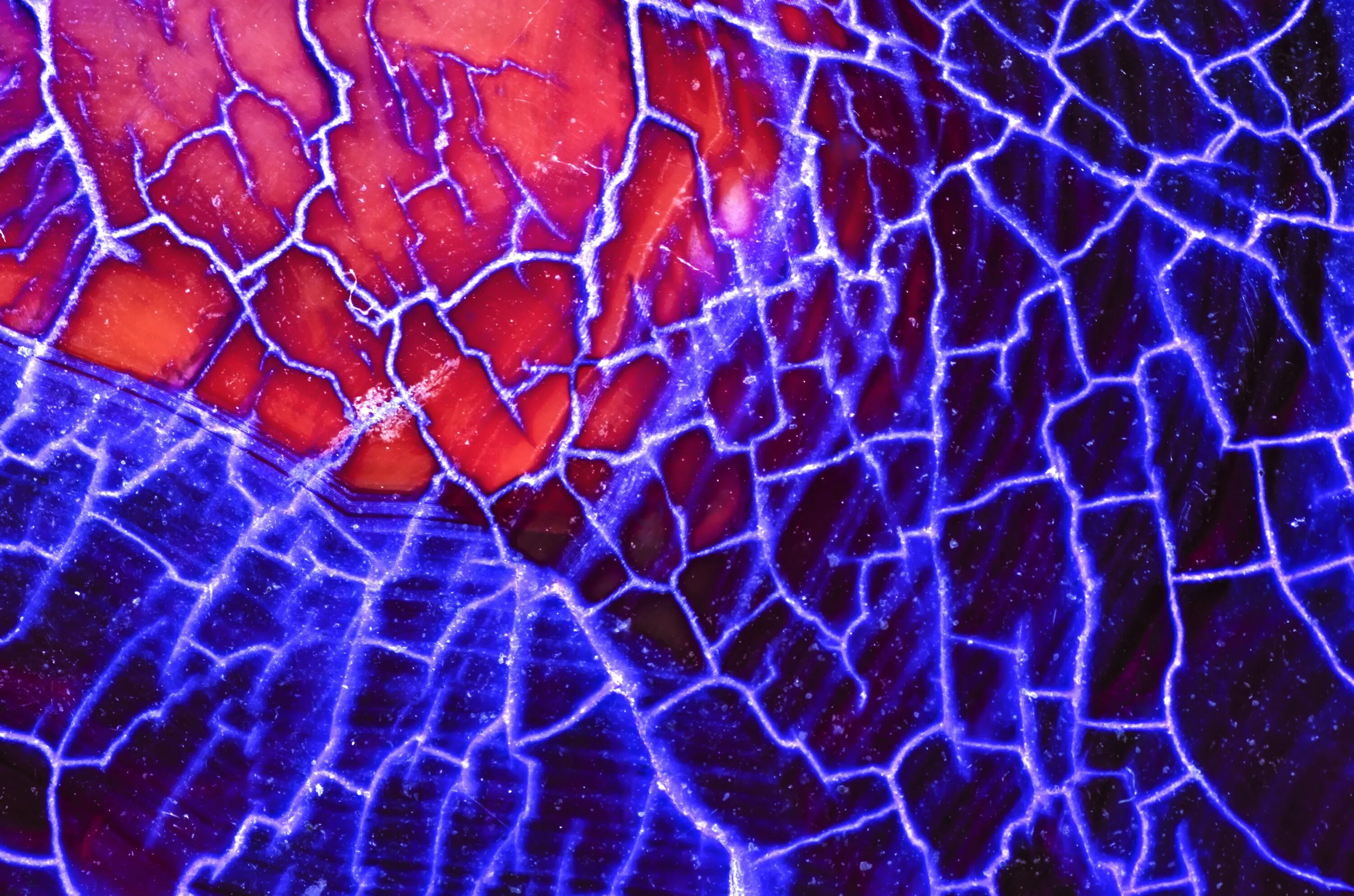 Dragon veins. Dragon veins. Azmond. Anothereidos of dragon vein r. Dragon veins.