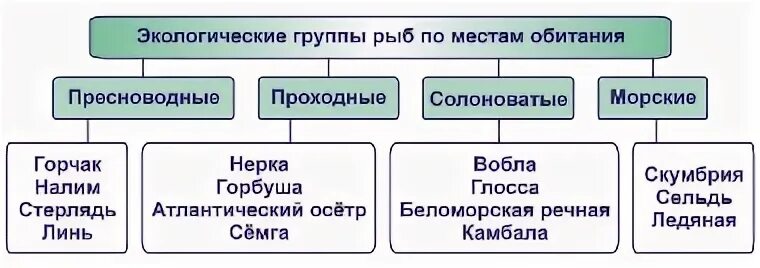 классификация рыб по местам обитания