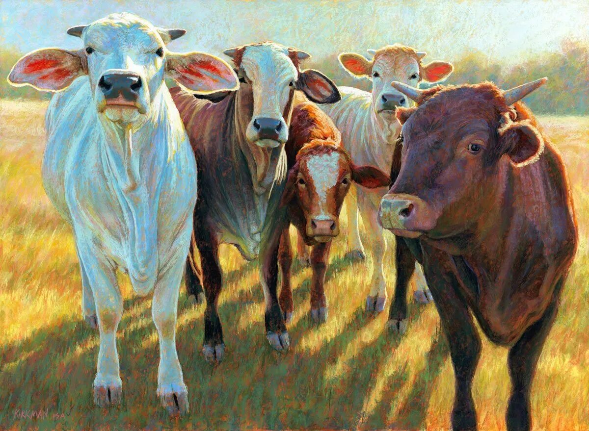 Человек е корову. Стадо коров. Корова картина. Коровы в живописи. Картина стадо коров.