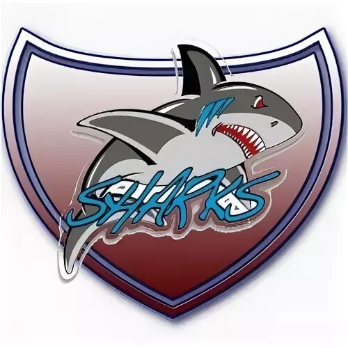 Раскрутка сайта team shark. Акула футбольный клуб. Футбольная команда Shark. Команда акулы культуры. Девиз для команды акулы.