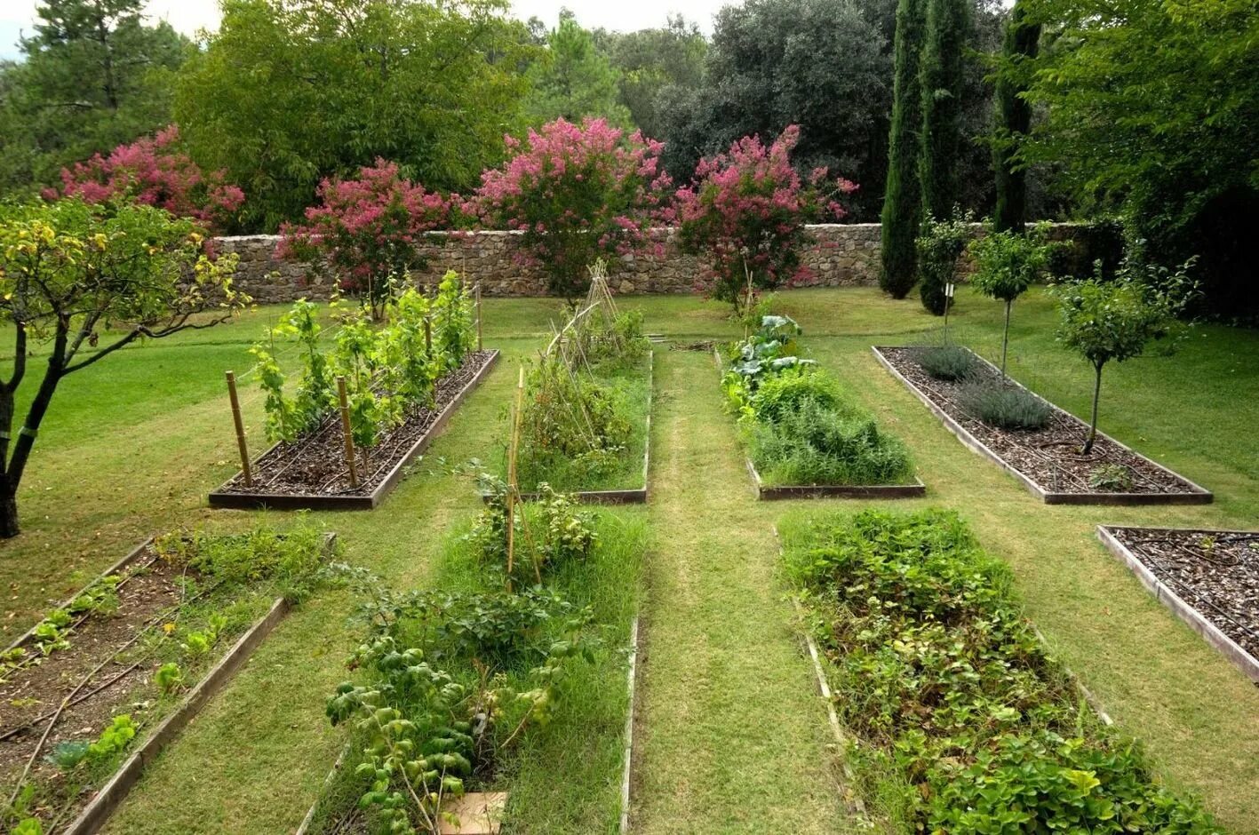 Какое место лучше посадить. Планировка огорода и плодового сада. Ландшафт огорода. Красивые грядки в саду. Красивый огород.
