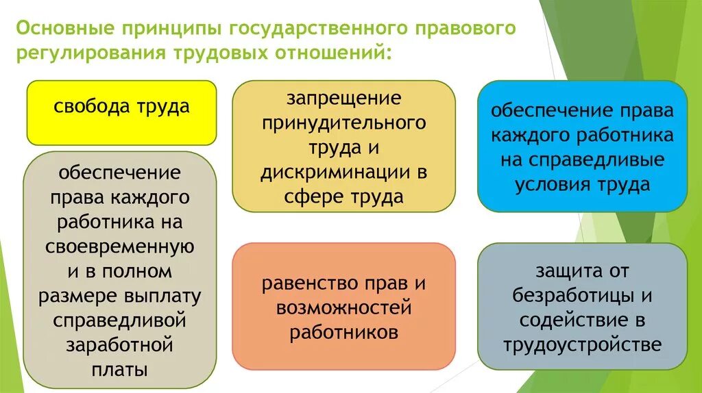 Принципы трудовых отношений рф. Основные принципы правового регулирования. Основные принципы правового регулирования труда. Принципы правового регулирования трудовых отношений. Основные принципы трудового регулирования трудовых отношений.