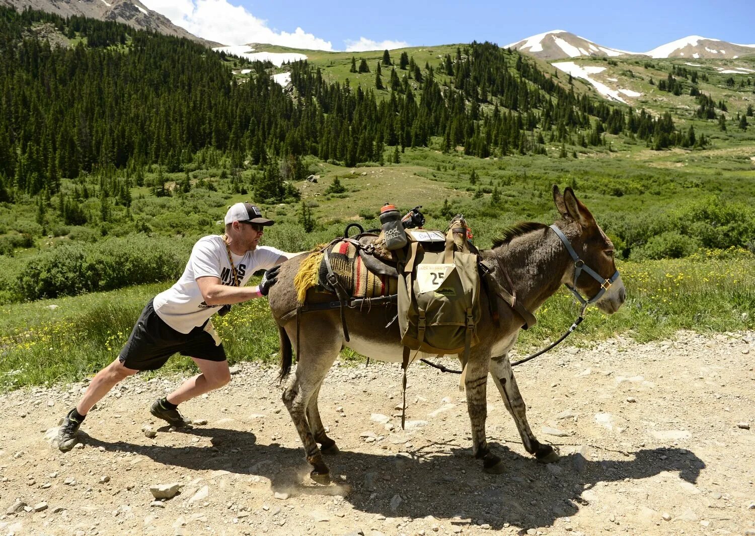 Едет на ослике. Верхом на осле. осел в горах. ослик. человек на ослике.