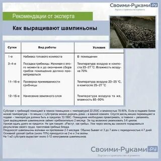 Перечень технологических приемов ухода за шампиньонами