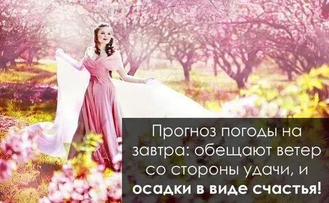 Ветер обещал