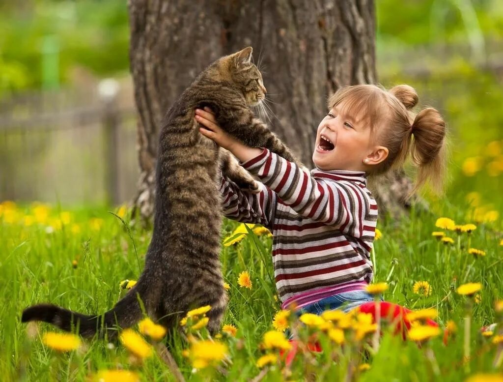 Котенок играет малыша. Для детей. Животные. Кот для детей. Дети с животными. Кот дети лето.