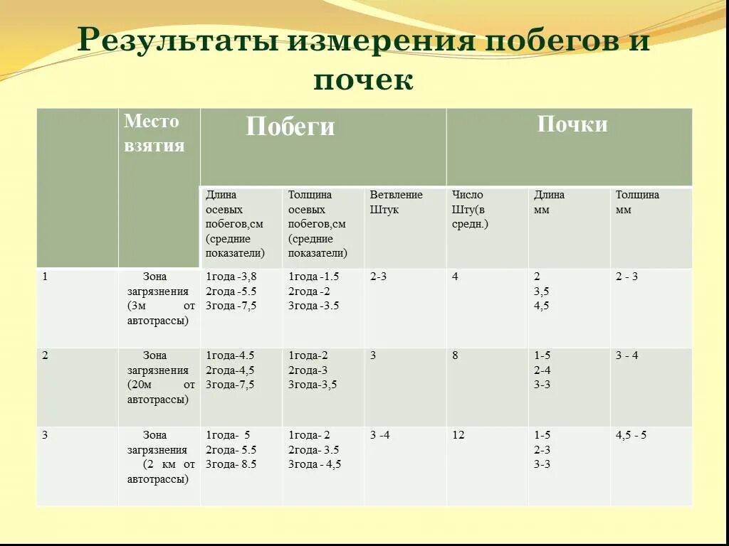 Расписание хвойная. Средняя длина почки растения. Результаты измерения побегов и почек. Размер почек растений. Средний размер почек растений.