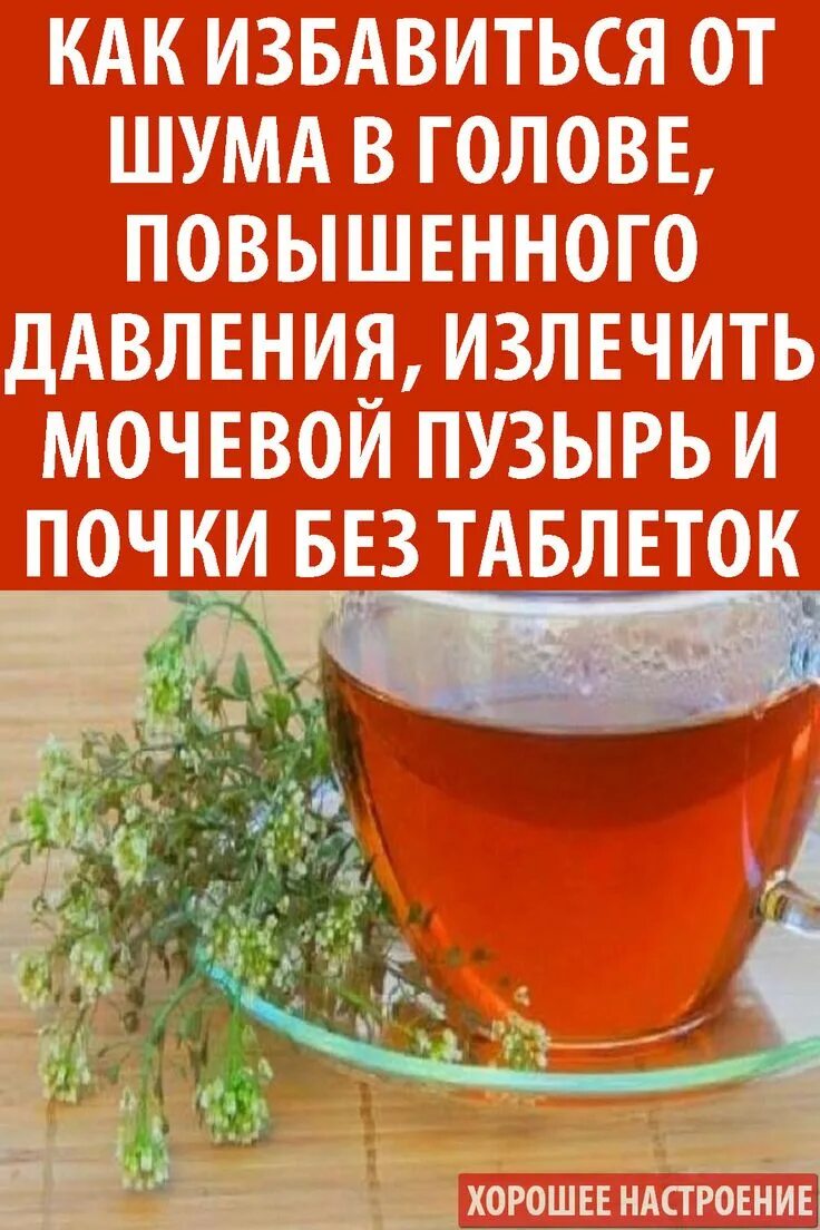 Может ли быть давление от почек