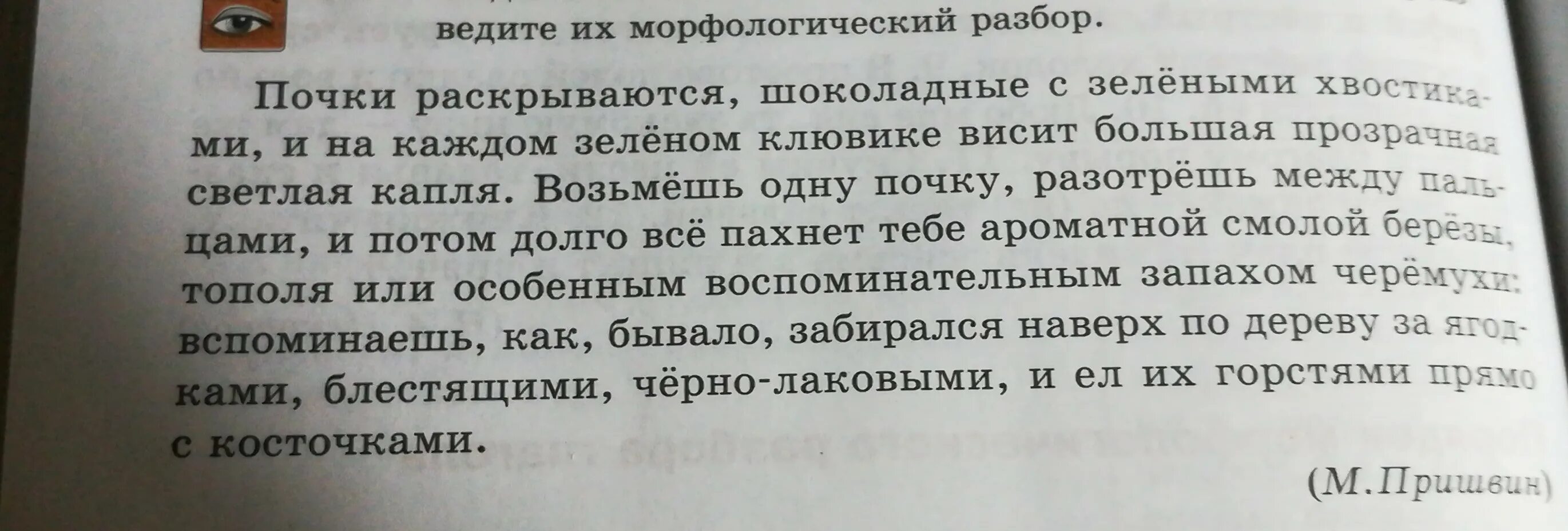 Повисли разбор. Почки раскрываются шоколадные. Почки раскрываются шоколадные с зелеными. Почки морфологический разбор. Почки раскрываются шоколадные с зелеными хвостиками и на каждом.