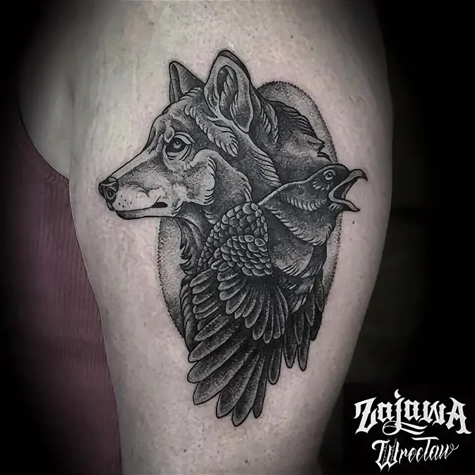 волк с вороном. тату волк и орел. волк и ворона тату. тату волк и ворон для девушек. тату ворон и волк на плече.