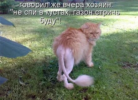 Нет что то не вижу