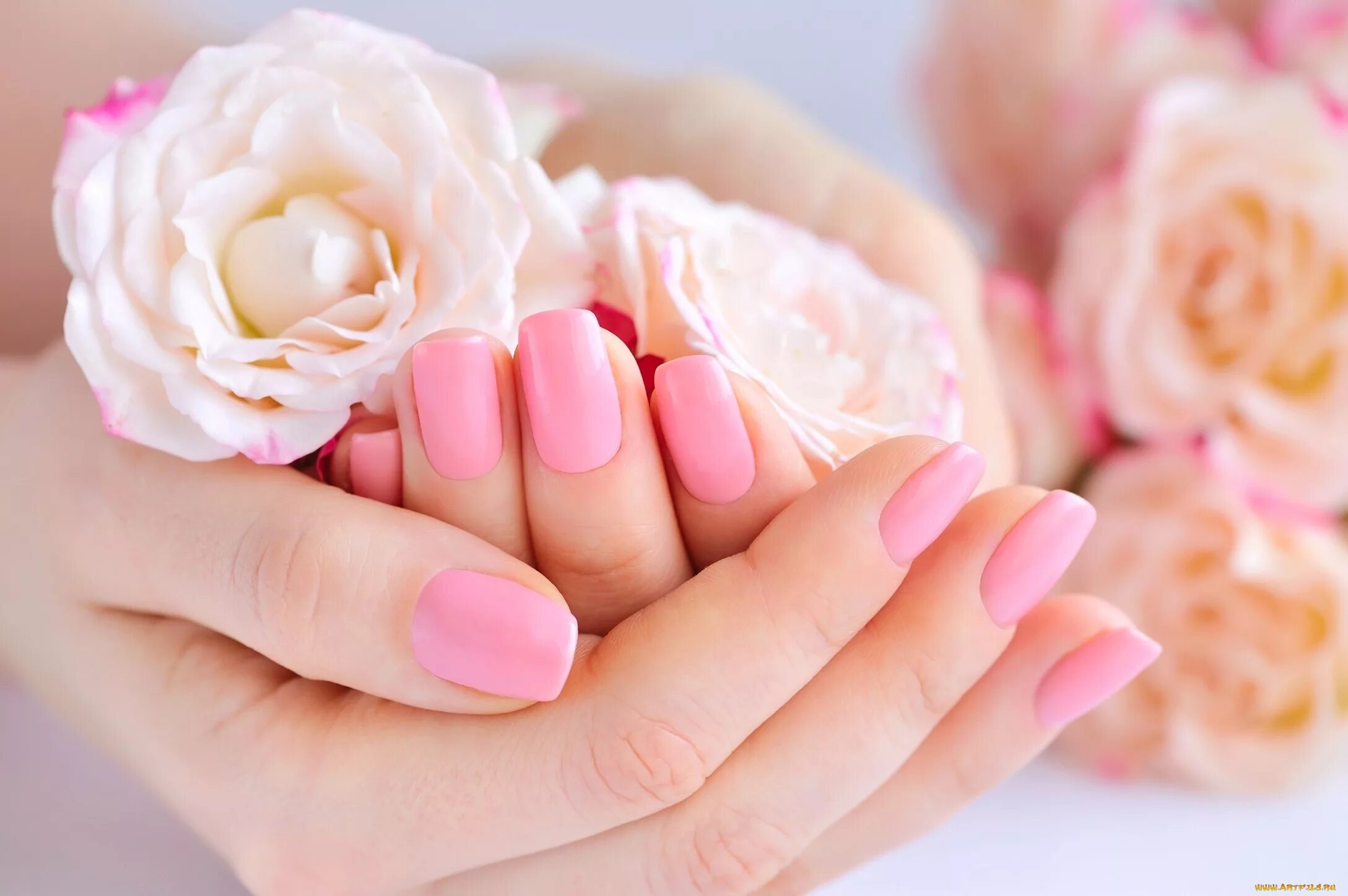 Розовый ногти на руках. Красивый маникюр. Красивые ногти. Ухоженные ногти. Нежный маникюр.