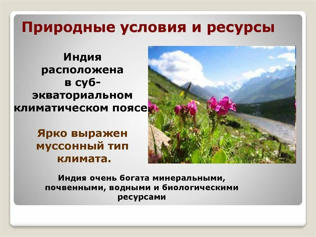 Природный потенциал индии. Природные условия и ресурсы Индии. Природные условия Индии. Биологические ресурсы Индии. Природные условия и ресурсы Индии кратко.