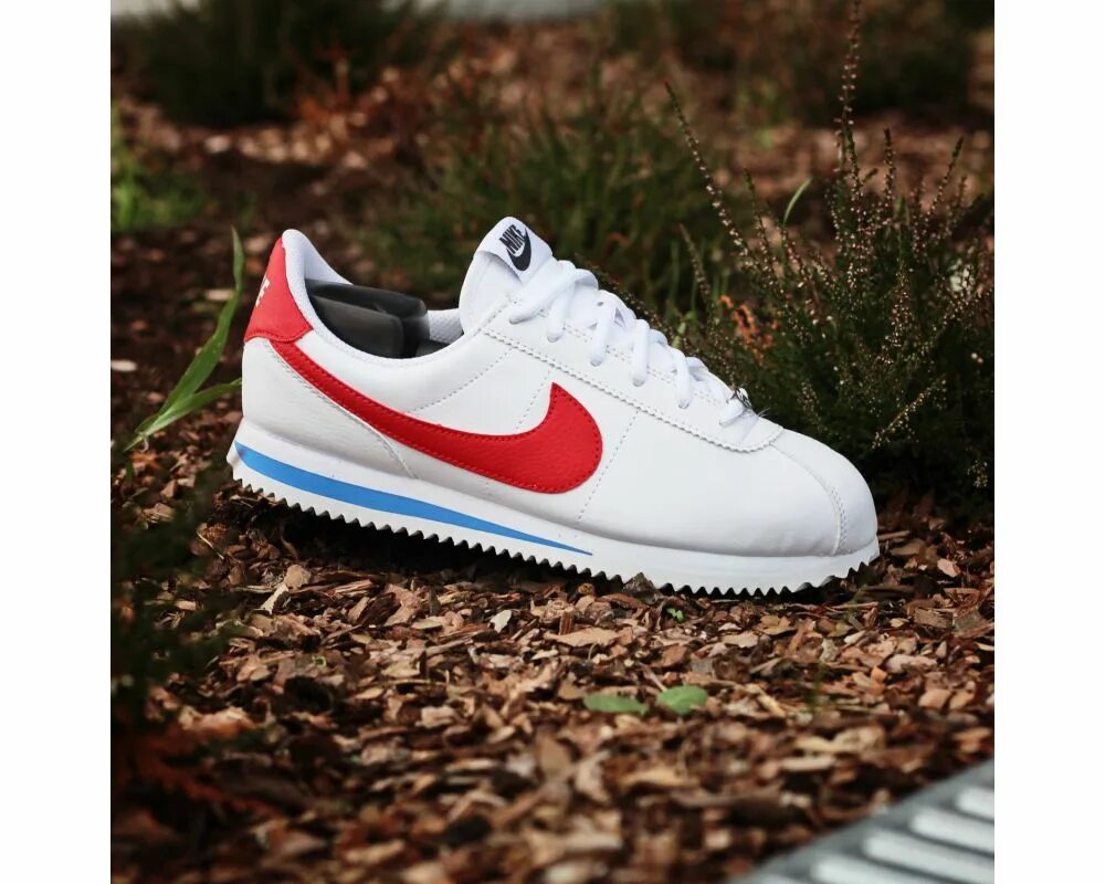 Nike Cortez Cort. Найк Кортез Классик. Nike Air Cortez. Кроссовки Nike Cortez Basic. Необычные найки