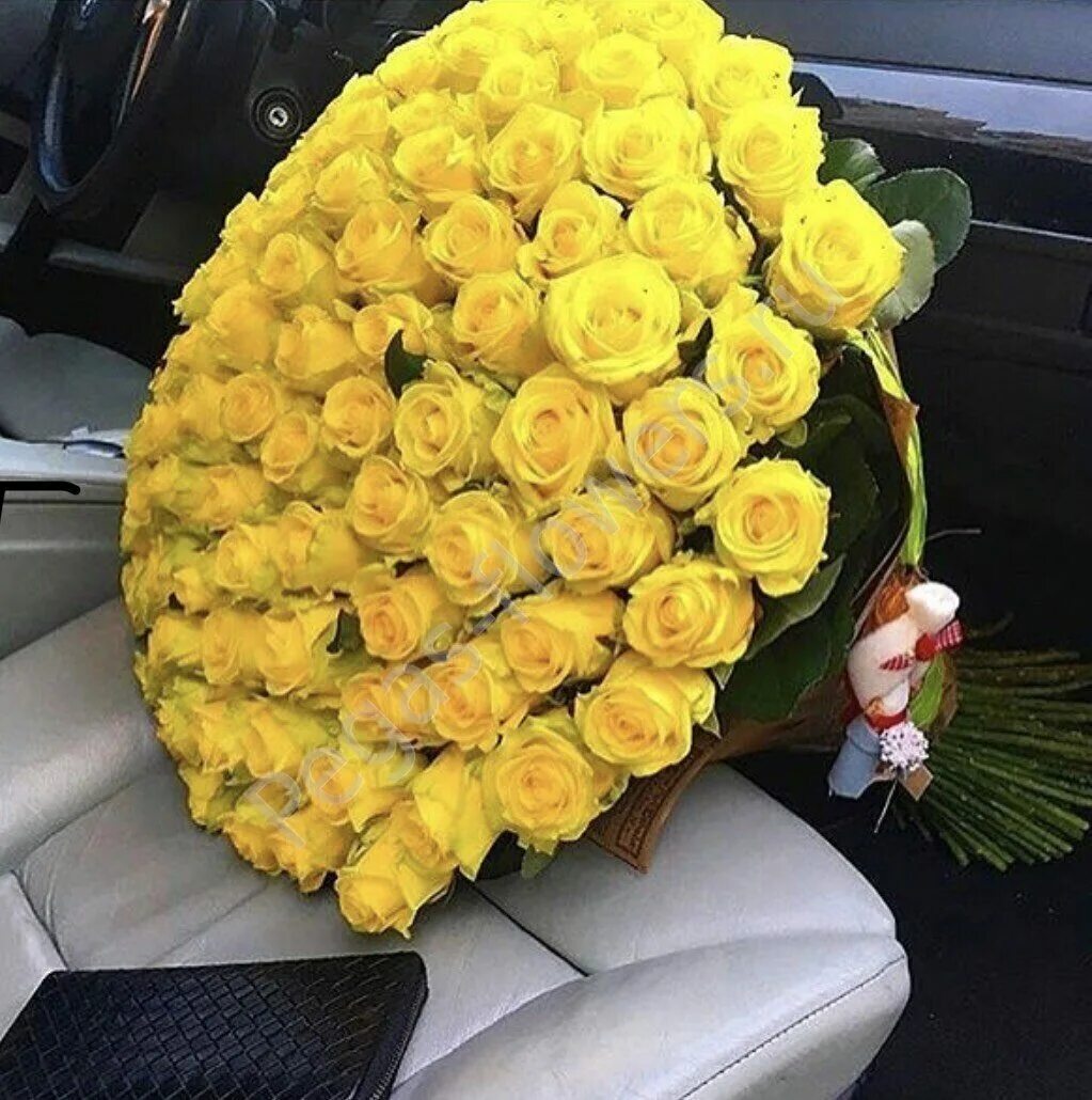 Огромные желтые букеты. Букет желтых роз. Красивый букет желтых роз. Желтые розы огромный букет. Шикарный букет в машине.