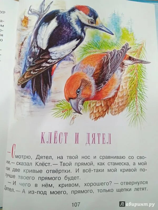 Бюро услуг читать. Сладков бюро лесных услуг иллюстрации.