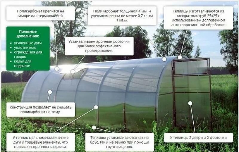 Наилучшая толщина поликарбоната для теплицы. Раскрой поликарбоната на теплицу 3х6. теплица крепыш профград. размер листа поликарбоната для теплиц 6м. саморезы для теплицы из поликарбоната.