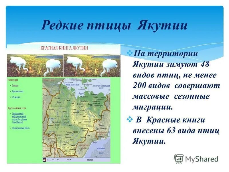 Книги о якутии. Красная книга республики саха якутия. Животные красной книги якутии. Якутская красная книга. Розовая чайка.