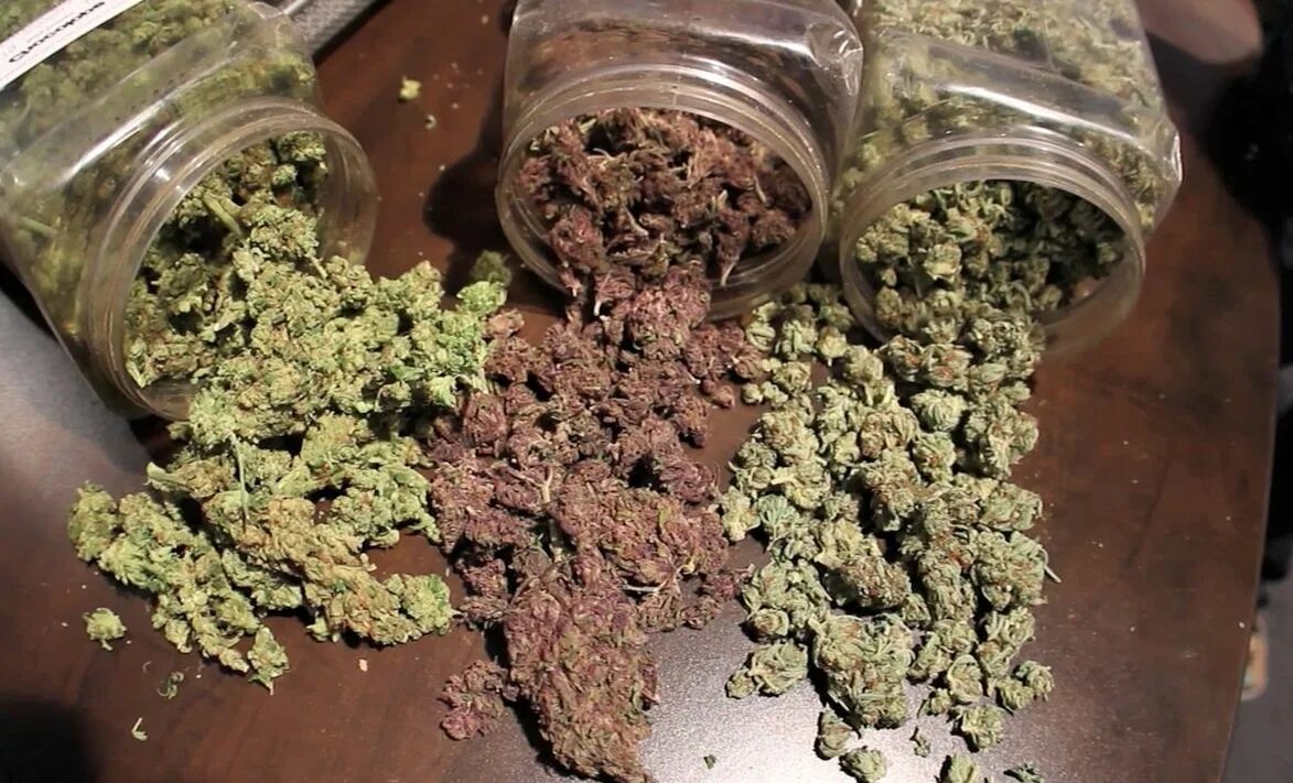 Спільнота Steam :: :: Cannabis